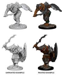 Dragonborn Fighter